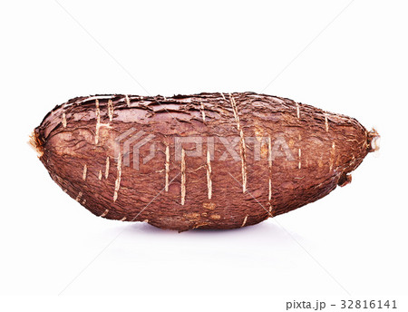 Cassava root isolated on whith background 32816141