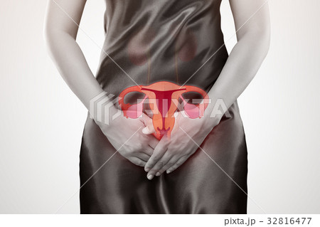 Uterus 32816477