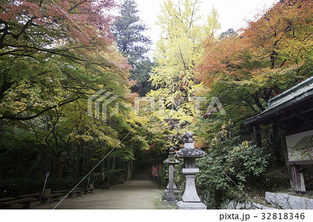 書写山の紅葉 32818346
