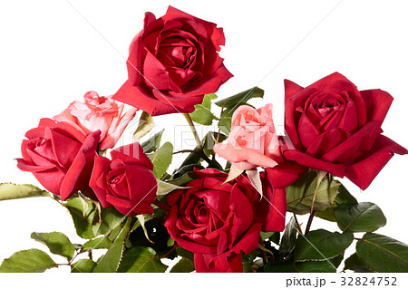 Bouquet of roses isolated on a white background Bouquet of roses isolated on a white background 32824752