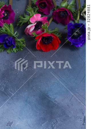 Anemones flowers on stone background 32824881