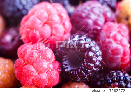 Close-up image of wild raspberry and blackberry Close-up image of wild raspberry and blackberry 32825724
