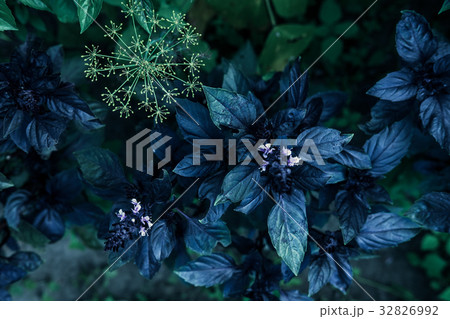 Green leaves creative pattern Green leaves creative pattern 32826992