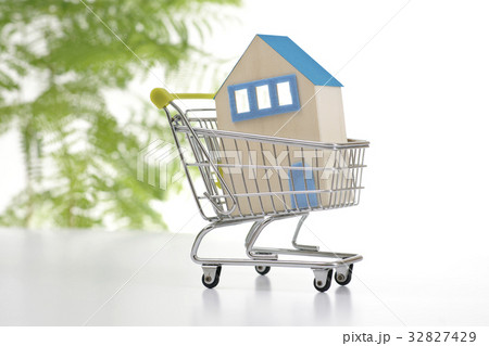 ショッピングカートの家 32827429