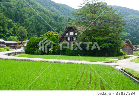 白川郷 和田家 岐阜県大野郡白川村 白川郷 和田家 岐阜県大野郡白川村 32827534