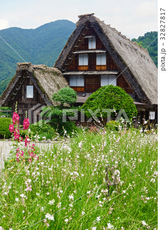 夏の白川郷の風景　岐阜県大野郡白川村 32827817