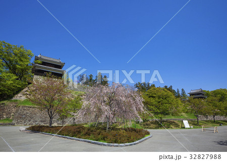 160419上田城跡04 32827988