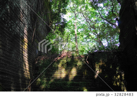 7月　カノー伝説・緑と石切場跡21南伊豆 32828483