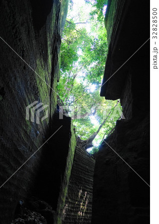 7月　カノー伝説・緑と石切場跡38南伊豆 32828500