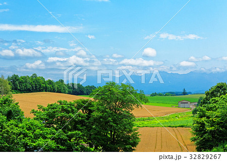 美瑛 パッチワークの路沿いの農村風景 美瑛 パッチワークの路沿いの農村風景 32829267