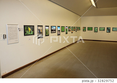 写真展のイメージ 写真展のイメージ 32829752