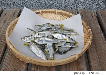 煮干しママカリ 32830265