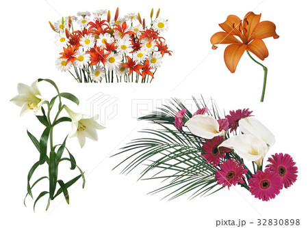 all Flower set 32830898