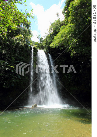 ター滝 32831709