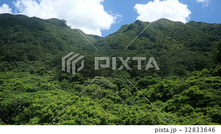 石垣島の於茂登岳 石垣島の於茂登岳 32833646