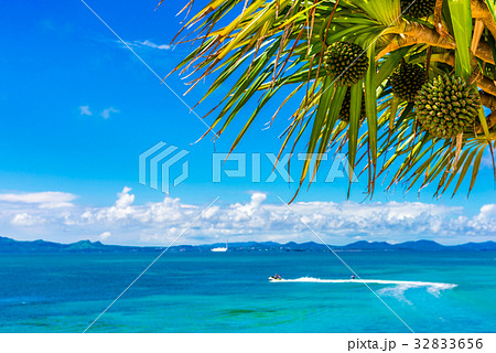 沖縄の海 沖縄の海 32833656
