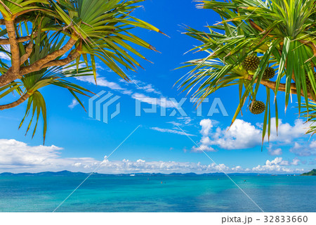 沖縄の海 32833660