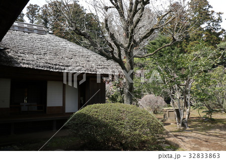 春の水戸市偕楽園の風景 32833863