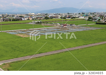 7月の農村風景 7月の農村風景 32834035