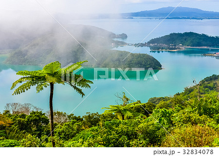 霧の六田原展望台 32834078