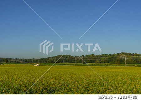 夏の田園風景 夏の田園風景 32834789