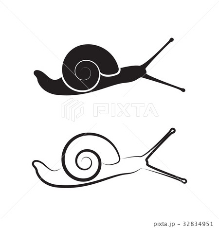 Vector of a snail on white background. Reptile. 32834951