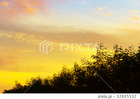 nature background nature background 32835532