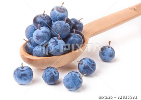 blackthorn berries in a wooden spoon isolated on blackthorn berries in a wooden spoon isolated on 32835533