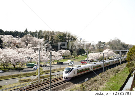 桜と電車 32835792