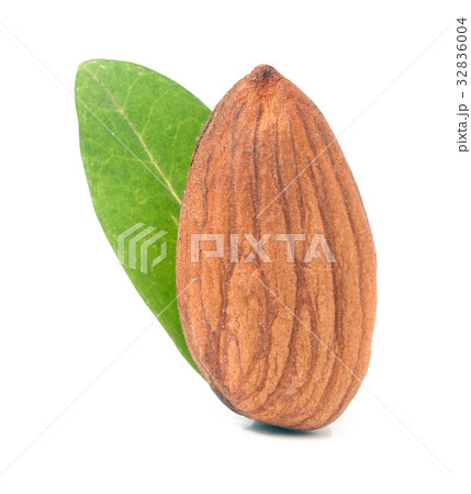 almond peeled with leaf isolated on white almond peeled with leaf isolated on white 32836004