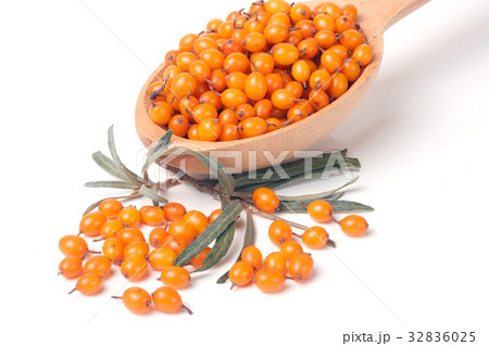 buckthorn berries with leaves in a wooden spoon 32836025