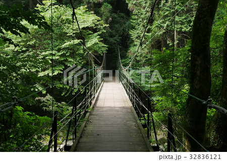 吊り橋 32836121