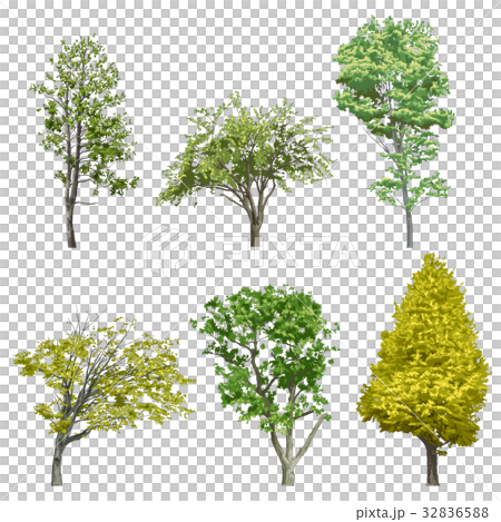 樹木1 32836588