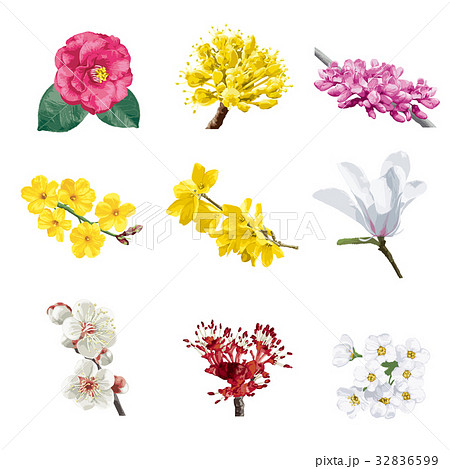 花1 32836599