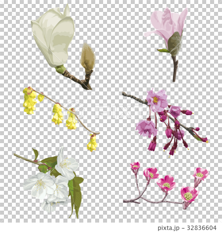 Flower 6 32836604
