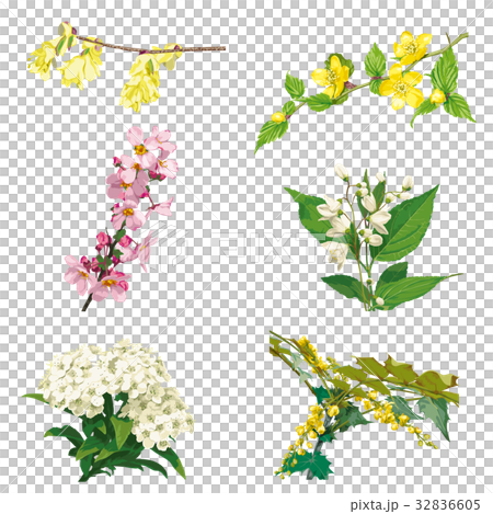 Flower 7 32836605