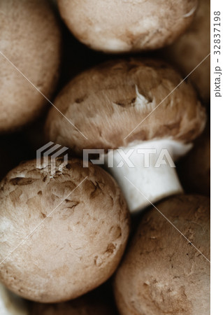 Macro shot of fresh champignons Portobello 32837198