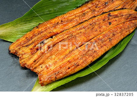 鰻の蒲焼き。※国産浜名湖産のうなぎのかば焼き(長焼き)2匹分です。 鰻の蒲焼き。※国産浜名湖産のうなぎのかば焼き(長焼き)2匹分です。 32837205