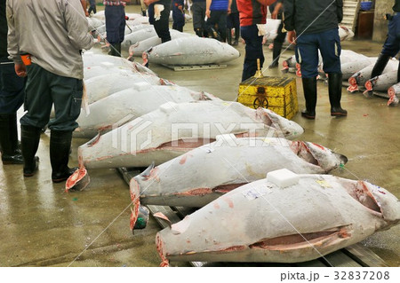築地市場 32837208