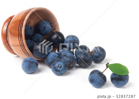 blackthorn berries in a wooden bowl isolated on 32837287