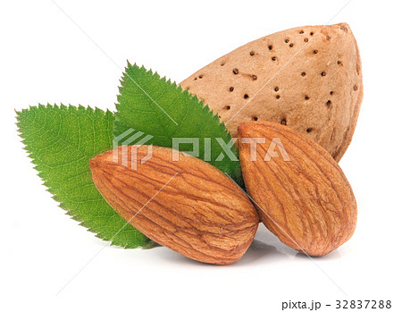 almonds in their skins and peeled with leaf almonds in their skins and peeled with leaf 32837288