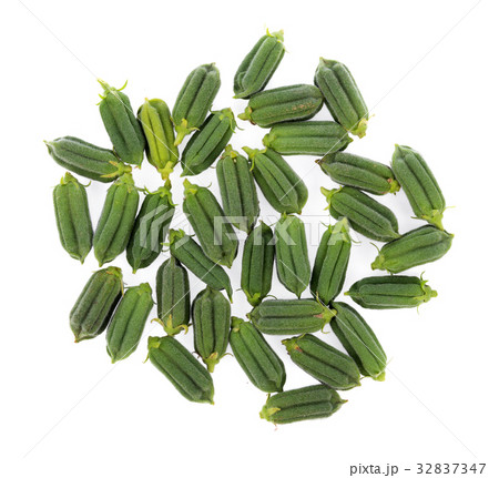 fresh sesame pods isolated on white background fresh sesame pods isolated on white background 32837347