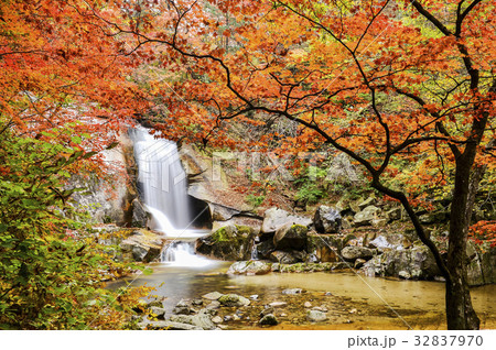 秋 谷 風景 32837970