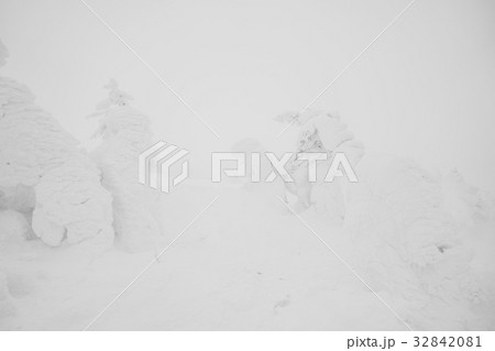 Snow Monsters area Mountain Zao, Japan . 32842081