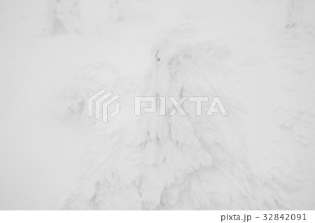 Snow Monsters area Mountain Zao, Japan . 32842091