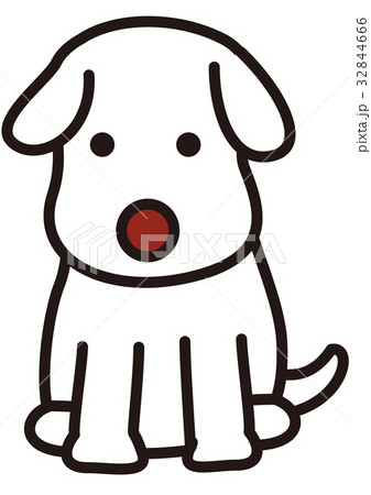 犬 32844666