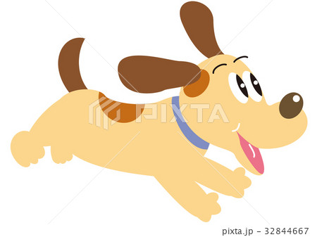 犬 犬 32844667