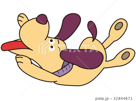 犬 32844671