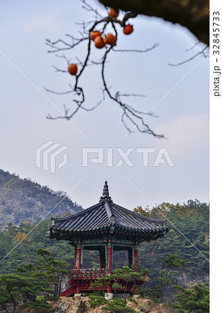 風景 空 屋外 32845733