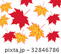 紅葉のイラスト 32846786